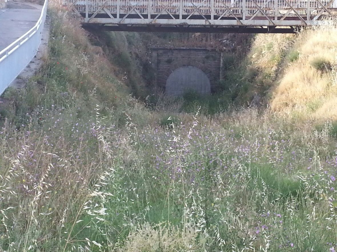 930d3a43-e539-4593-a930-6cce3598c418