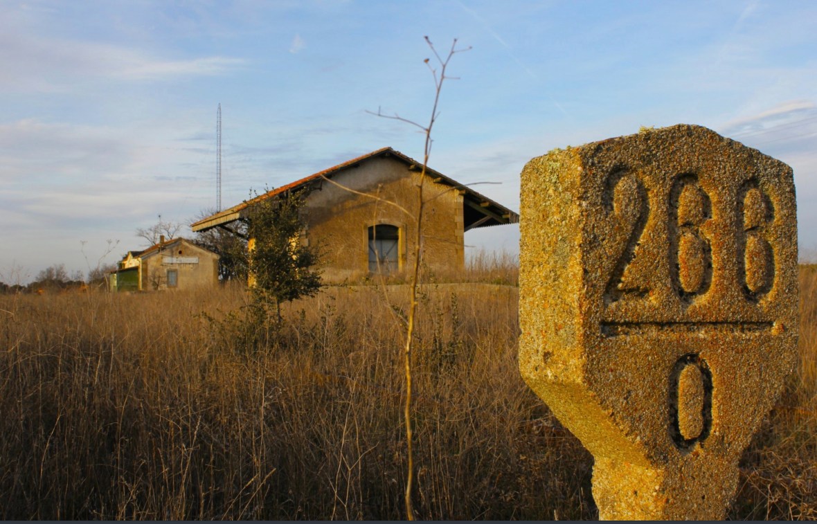 Screen Shot 2019-03-31 at 10.48.13